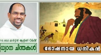 18th Sunday_ഭോഷനായ ധനികൻ (ലൂക്കാ 12:13-21)