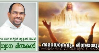 20th Sunday_സമാധാനവും ഭിന്നതയും (ലൂക്കാ 12:49-57)