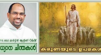 24th Sunday_കരുണയുടെ ഉപമകൾ (ലൂക്കാ 15:1-33)