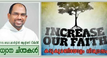 27th Sunday_കടുകുമണിയോളം വിശ്വാസം (ലൂക്കാ 17:5-10)