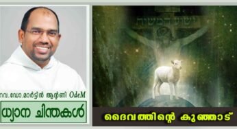 2nd Sunday_Ordinary Time_Year A_ദൈവത്തിന്റെ കുഞ്ഞാട് (യോഹ.1:29-34)