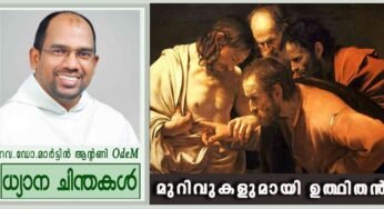 2nd Sunday Easter_മുറിവുകളുമായി ഉത്ഥിതൻ (യോഹ. 20:19-31)