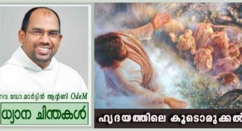 Ascension of the Lord_ഹൃദയത്തിലെ കൂടൊരുക്കൽ (മത്തായി 28:16 -20)