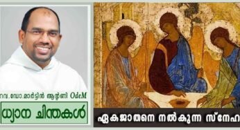 Trinity Sunday_ഏകജാതനെ നൽകുന്ന സ്നേഹം (യോഹ 3:16-18)
