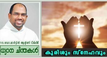 13th Sunday_Ordinary Time_കുരിശും സ്നേഹവും (മത്താ 10: 37-42)