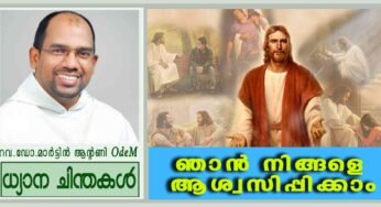 14th Sunday_Ordinary Time_”ഞാൻ നിങ്ങളെ ആശ്വസിപ്പിക്കാം” (മത്താ 11:25-30)