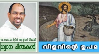 15th Sunday_Ordinary Time_വിളവിന്റെ ഉപമ (മത്താ 13:1-23)
