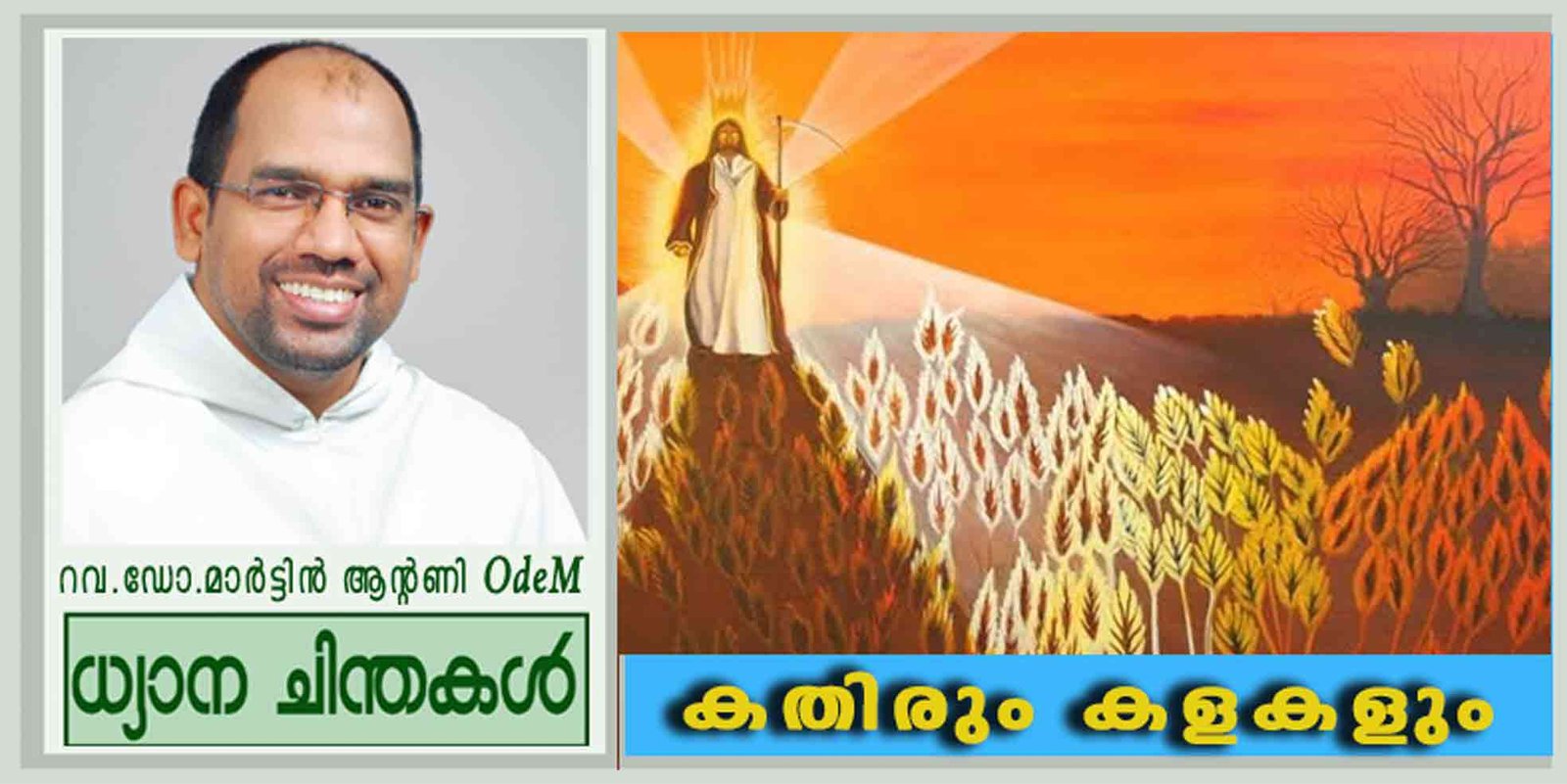 കതിരും കളകളും (മത്തായി 13:24-43)