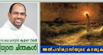 19th Sunday_അൽപവിശ്വാസിയുടെ കൗതുകം (മത്താ 14: 22-33)