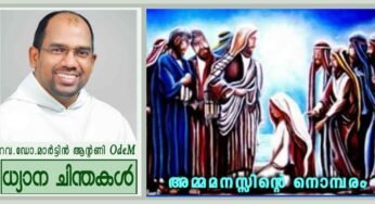 20th Sunday_അമ്മമനസ്സിന്റെ നൊമ്പരം (മത്താ 15: 21-28)