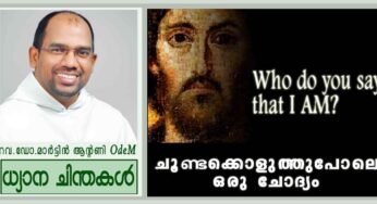 ചൂണ്ടക്കൊളുത്തുപോലെ ഒരു ചോദ്യം (മത്താ 16:13-20)