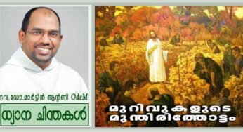 27th Sunday_മുറിവുകളുടെ മുന്തിരിത്തോട്ടം (മത്താ 21:33-43)