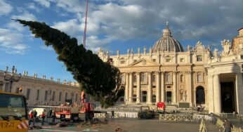 വത്തിക്കാനിലെ 2023 ലെ ക്രിസ്മസ് ട്രീ… കുട്ടികളുടെ കളിപ്പാട്ടങ്ങളായി മാറും