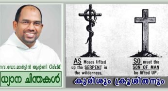4rth Sunday_Lent_കുരിശും ക്രൂശിതനും (യോഹ 3:14-21)