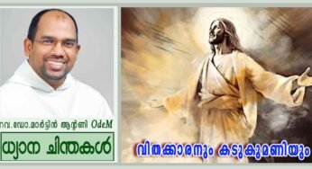 11th Sunday_Ordinary Time_വിതക്കാരനും കടുകുമണിയും (മർക്കോ 4:26-34)