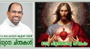 മാറു പിളർന്നൊരു സ്നേഹം (യോഹ 19: 31-35)