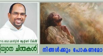 21st Sunday_”നിങ്ങൾക്കും പോകണമോ?” (യോഹ. 6:60-69)