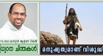 Advent 3rd Sunday_മനുഷ്യത്വമാണ് വിശുദ്ധി (ലൂക്കാ 3: 10-18)