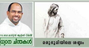 Advent 2nd_Sunday_മരുഭൂമിയിലെ ശബ്ദം (ലൂക്കാ 3:1-6)
