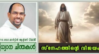 സ്നേഹത്തിന്റെ വിജയം (യോഹ 20:1-9)