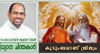 Holy Trinity Sunday_2025_കുടുംബമാണ് ത്രിത്വം (യോഹ 16: 12-15)