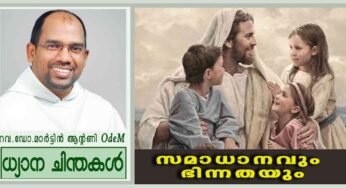 സമാധാനവും ഭിന്നതയും (ലൂക്കാ 12:49-57)