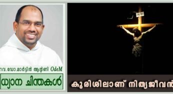 കുരിശിലാണ് നിത്യജീവൻ (യോഹ 3: 13-17)