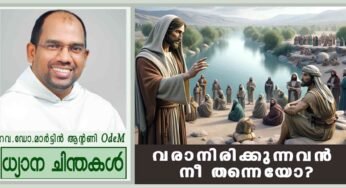 Advent_3rd Sunday_2025_വരാനിരിക്കുന്നവൻ നീ തന്നെയോ? (മത്താ 11: 2-11)