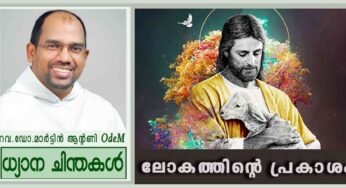 5th Sunday_Ordinary Time_ലോകത്തിന്റെ പ്രകാശം (മത്താ 5:13-16)