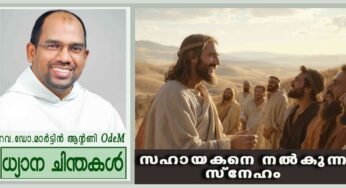 6th Easter Sunday_2026_സഹായകനെ നൽകുന്ന സ്നേഹം (യോഹ 14:15-21)