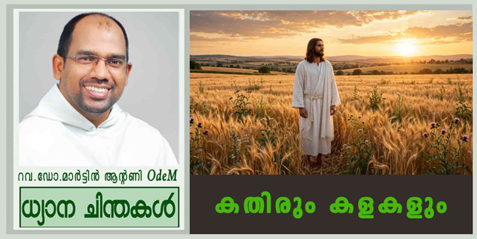 16th Sunday_Ordinary Time_2026_കതിരും കളകളും (മത്താ. 13:24-43)