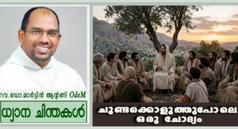 21st Sunday_2026_ചൂണ്ടക്കൊളുത്തുപോലെ ഒരു ചോദ്യം (മത്താ 16:13-20)